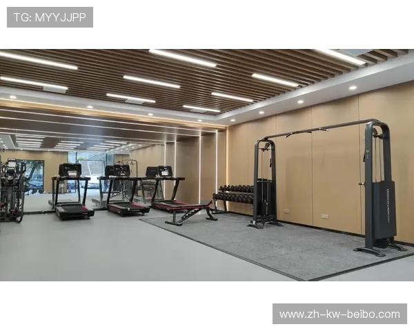 高效办公新主张：办公健身器材助力职场健康革命